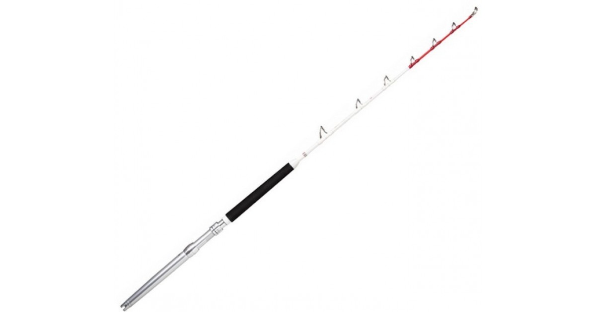 Rapala Magnum Spinning Fishing Rod