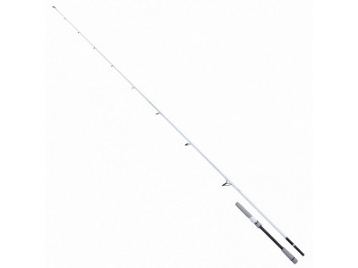 SHIMANO STRADIC SPINNING SEABASS