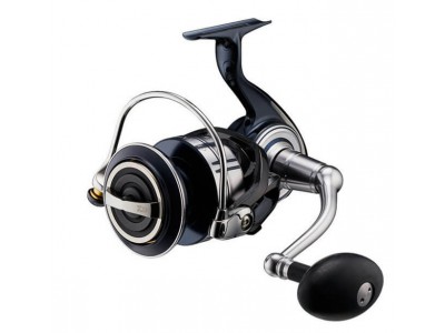 Best items and accessories for those looking for daiwa 24 certate lt at the  best price - Research Tognini pesca