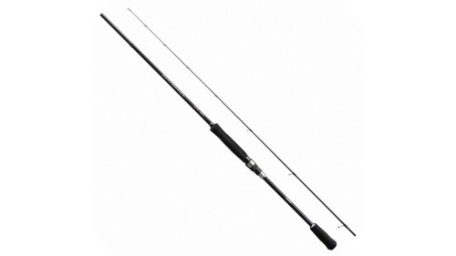 Offerta shimano salty advance eging  fishing rods eging game - Tognini  fishing