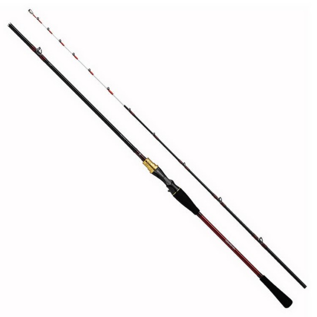 DAIWA ANALYSTAR EGITAKO 