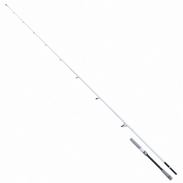 SHIMANO STRADIC SPINNING SEABASS 