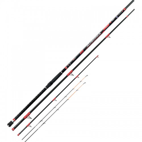 COLMIC AUSONIA 4.00mt STRONG ACTION 80-300gr FUJI GUIDES