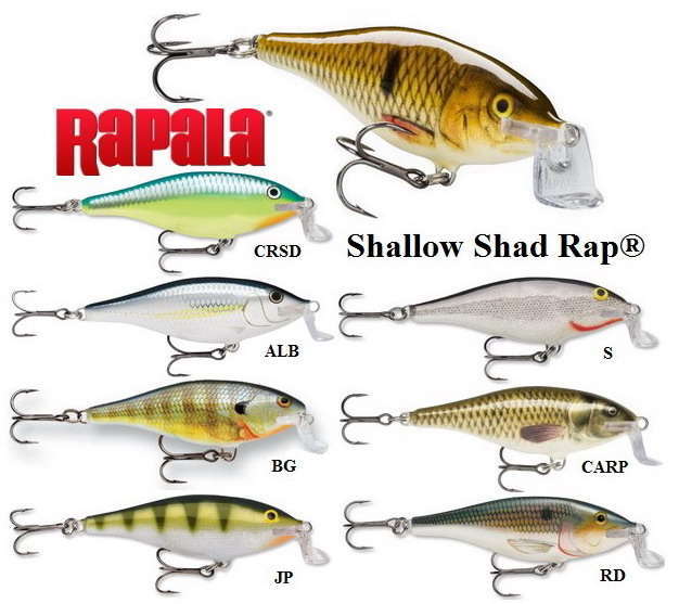 RAPALA SHALLOW SHAD RAP