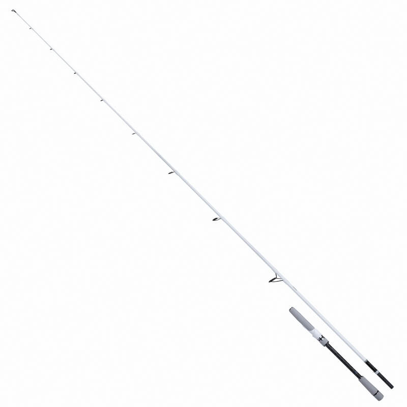 SHIMANO STRADIC SPINNING SEABASS