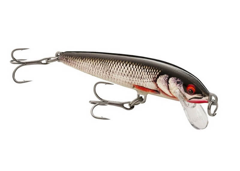 RAPALA FLOATER ELITE 85